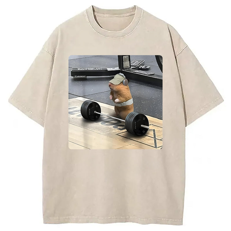 bbb Funny Cute Rat Weightlifting Meme Washed T-Shirt