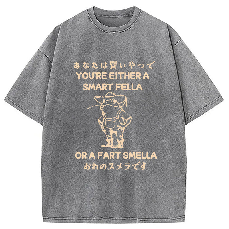 bbb Are You A Smart Fella Or Fart Smella Washed T-Shirt