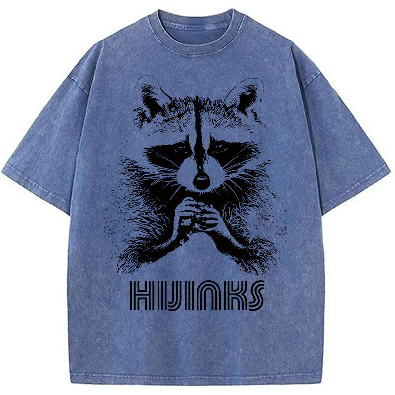 bbb Raccoon Hijinks Washed T-Shirt