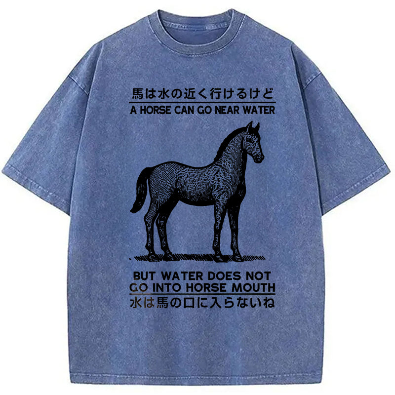 bbb Funny Horse And Water Saying Washed T-Shirt