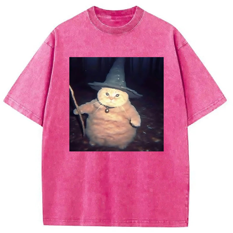 bbb Wizard Cat Funny Halloween Washed T-Shirt
