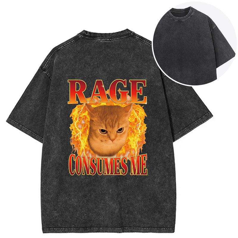 bbb Rage Consumes Me Edgy Funny Cat Meme Back Washed T-Shirt