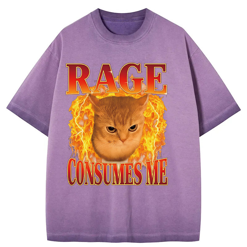 bbb Rage Consumes Me Edgy Funny Cat Meme Gradient Washed T-Shirt