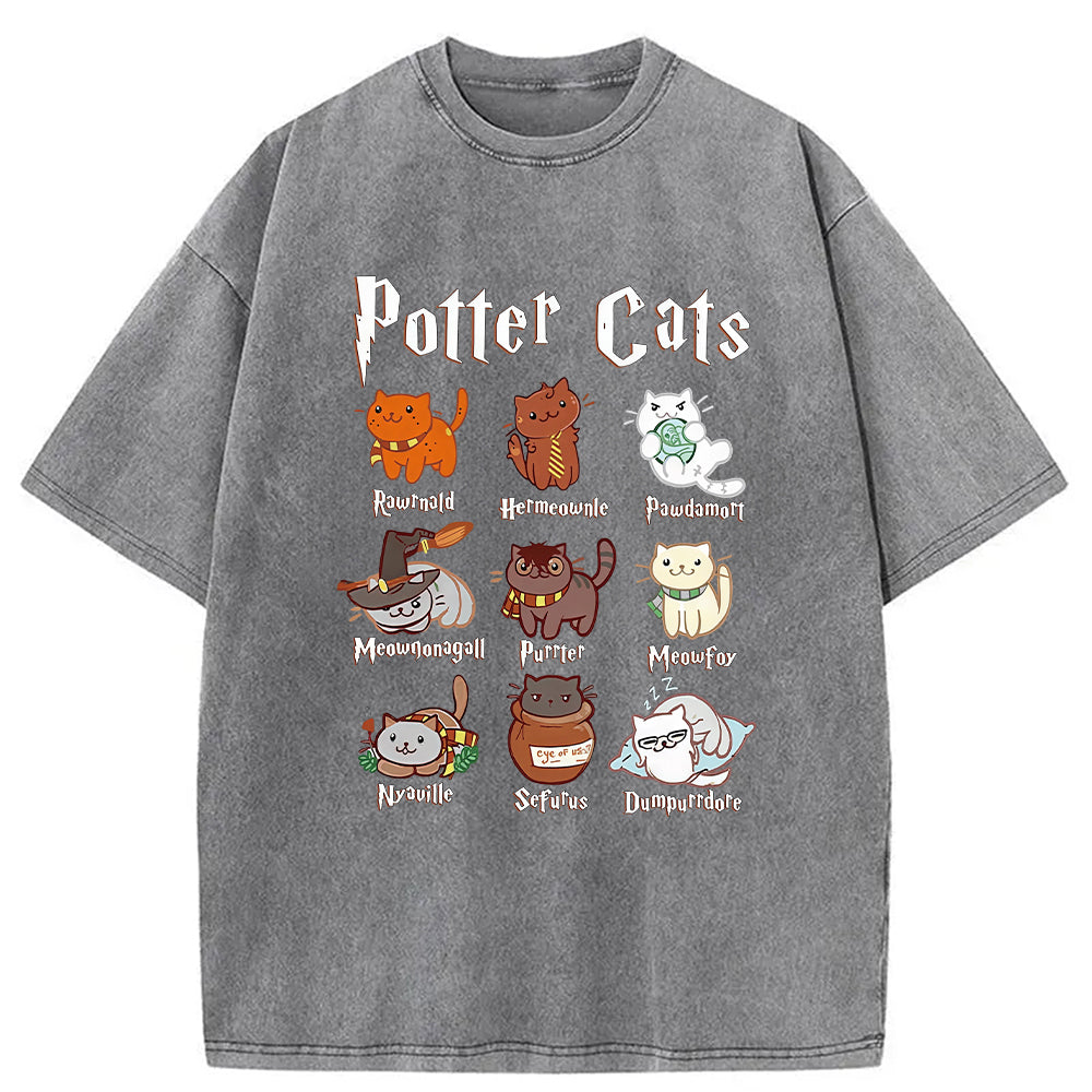 bbb Wizard Cats Washed T-Shirt