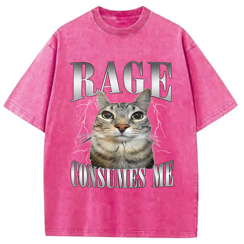 bbb Rage Consumes Me Funny Cat Washed T-Shirt