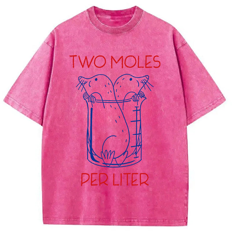 bbb Two Moles Per Liter Washed T-Shirt