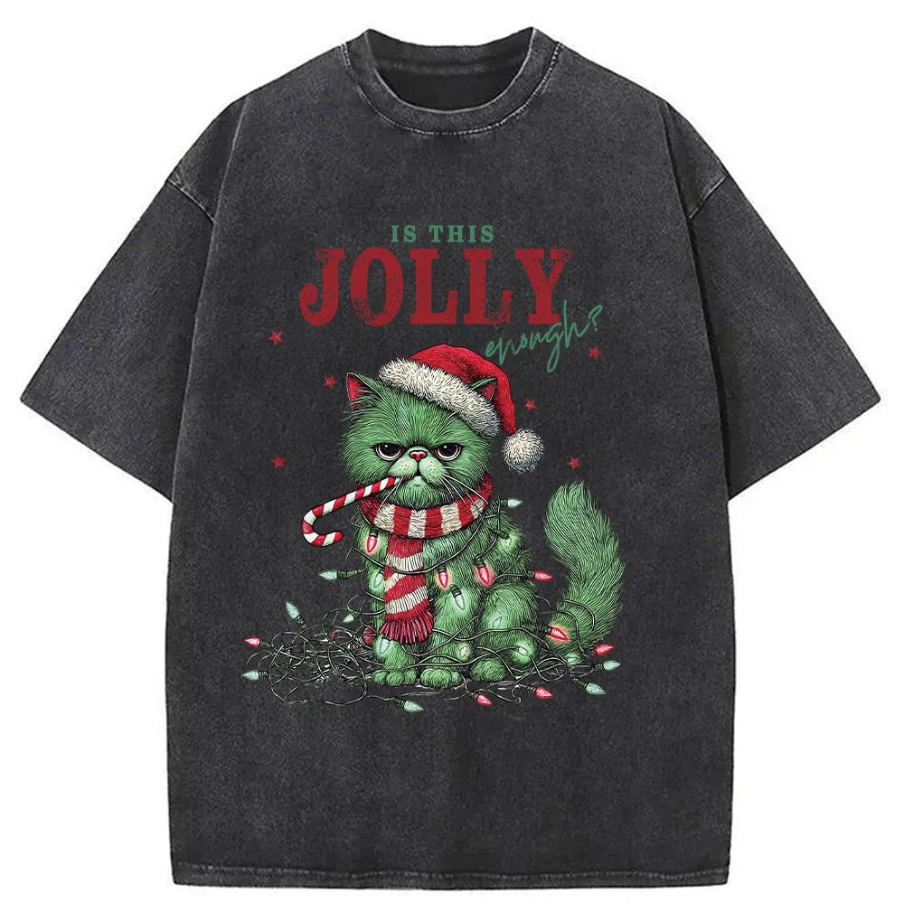 bbb Christmas Gift Washed T-Shirt