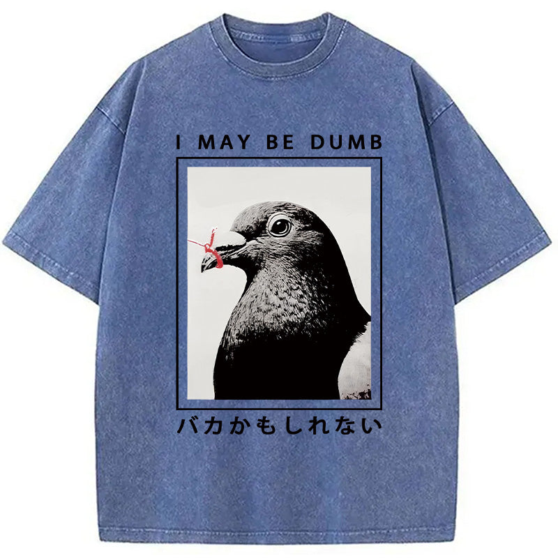 bbb I May Be Dumb Funny Washed T-Shirt
