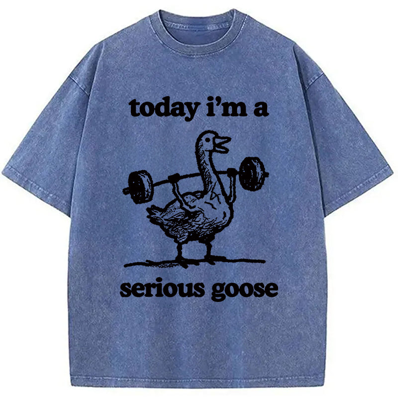 bbb Fitness Goose Washed T-Shirt