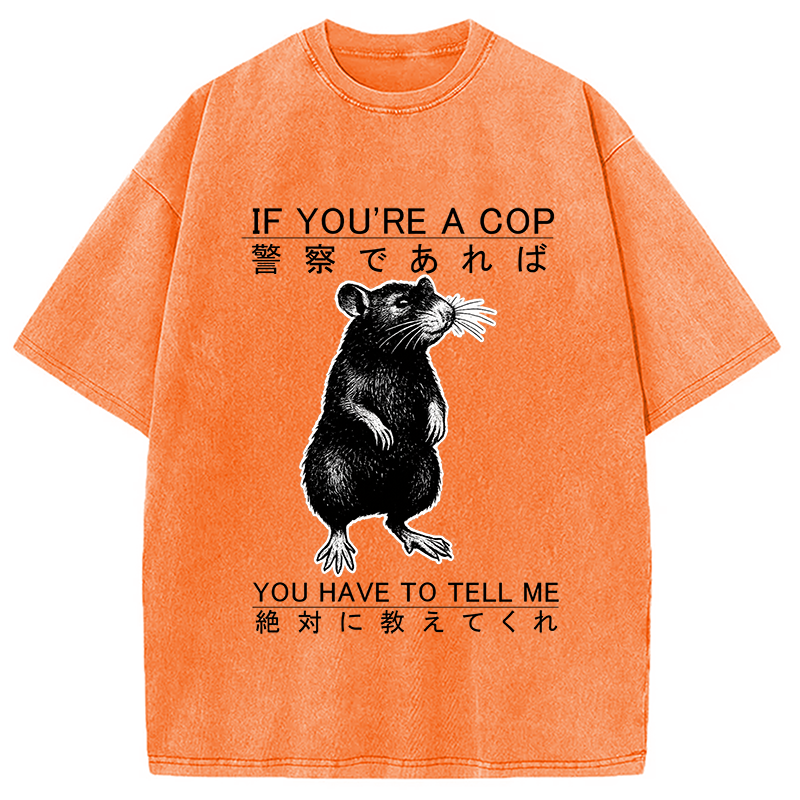 bbb If You're A Cop Japanese Rat Washed T-Shirt