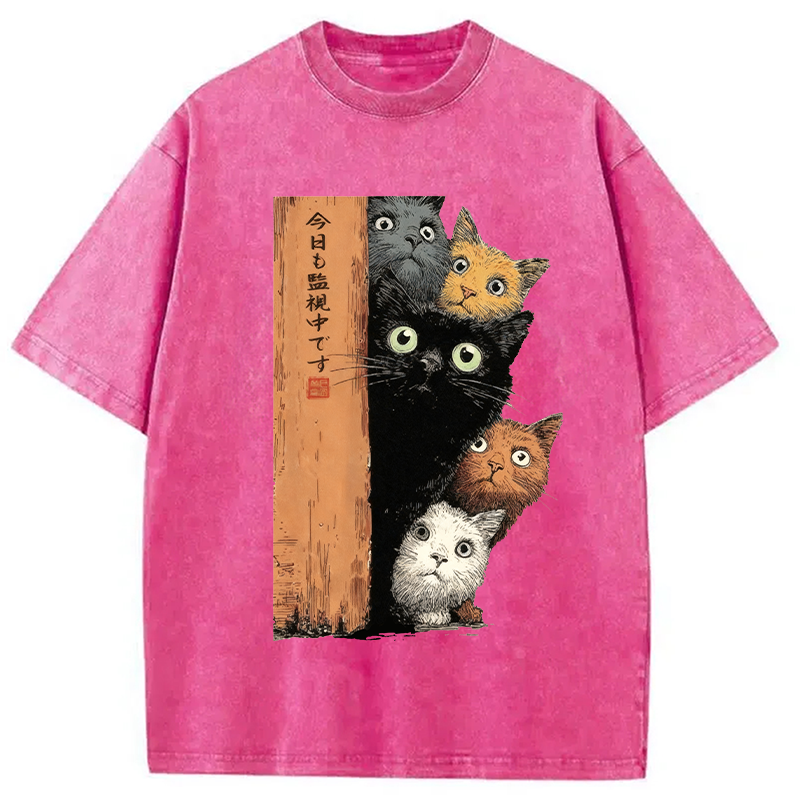 bbb Cats Are Watching You Washed T-Shirt