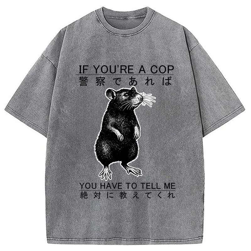 bbb If You're A Cop Japanese Rat Washed T-Shirt