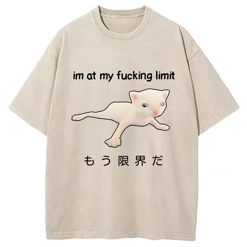 bbb Cat Reaching Its Limit Washed T-Shirt