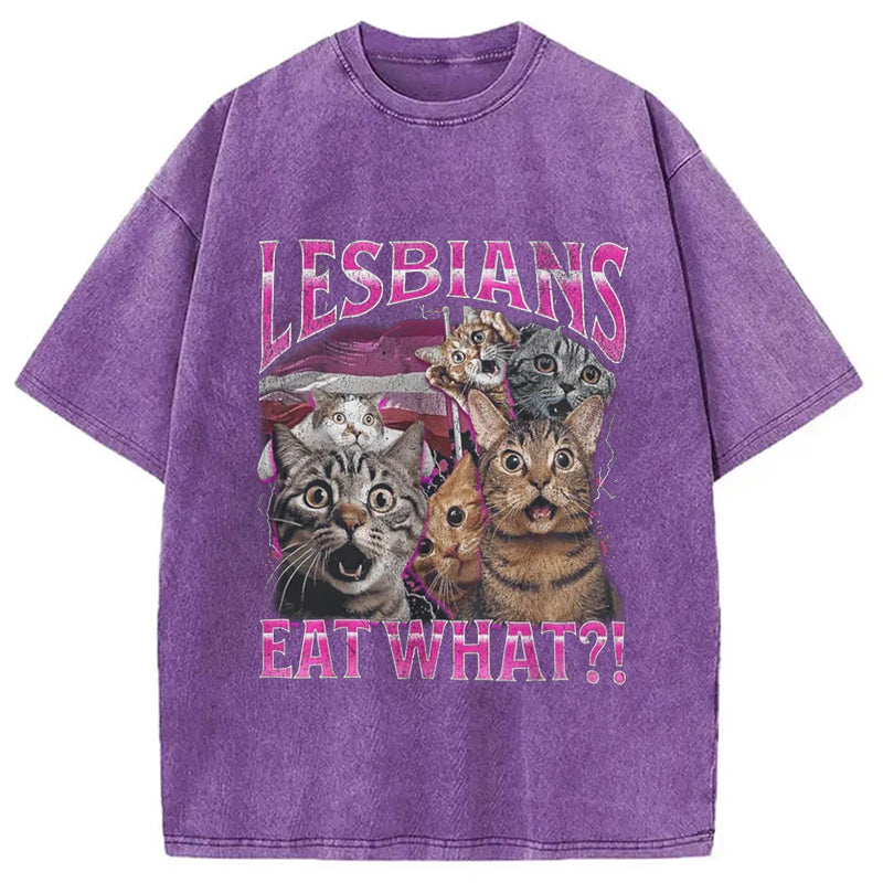 bbb Lesbians Eat What?! Funny Washed T-Shirt
