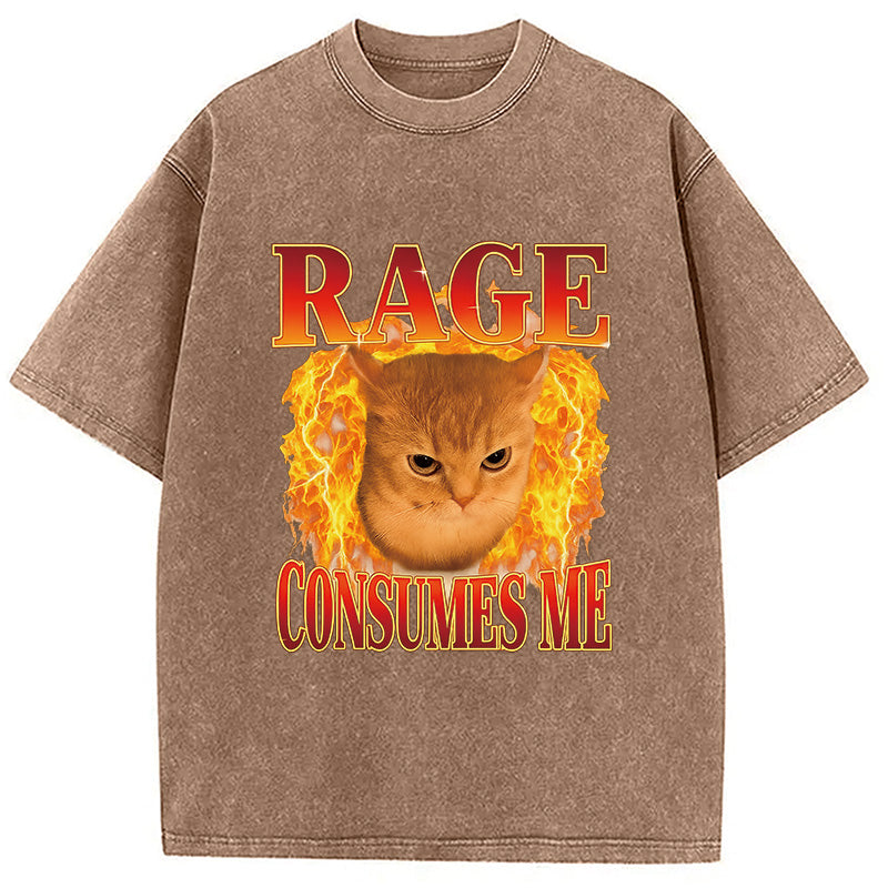 bbb Rage Consumes Me Edgy Funny Cat Meme Washed T-Shirt