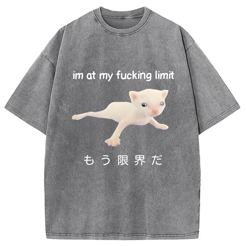 bbb Cat Reaching Its Limit Washed T-Shirt