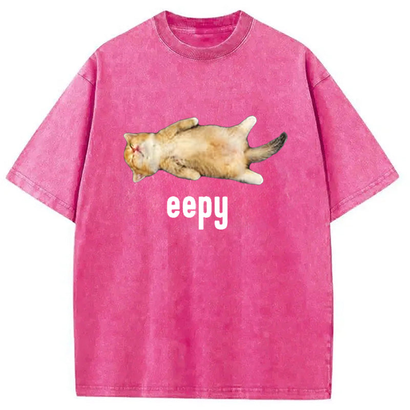 bbb Silly Sleepy Cat Meme Washed T-Shirt