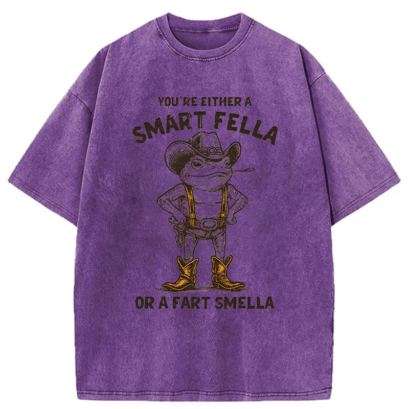 bbb Smart Fella Or Fart Smella Retro Cartoon Frog Washed T-shirt
