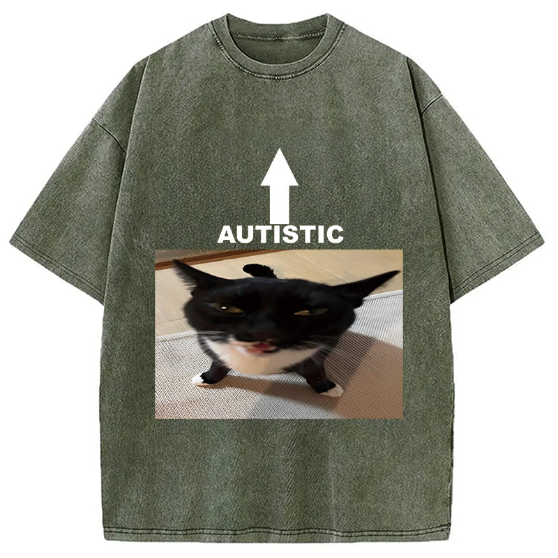 bbb Autistic Cat Washed T-Shirt