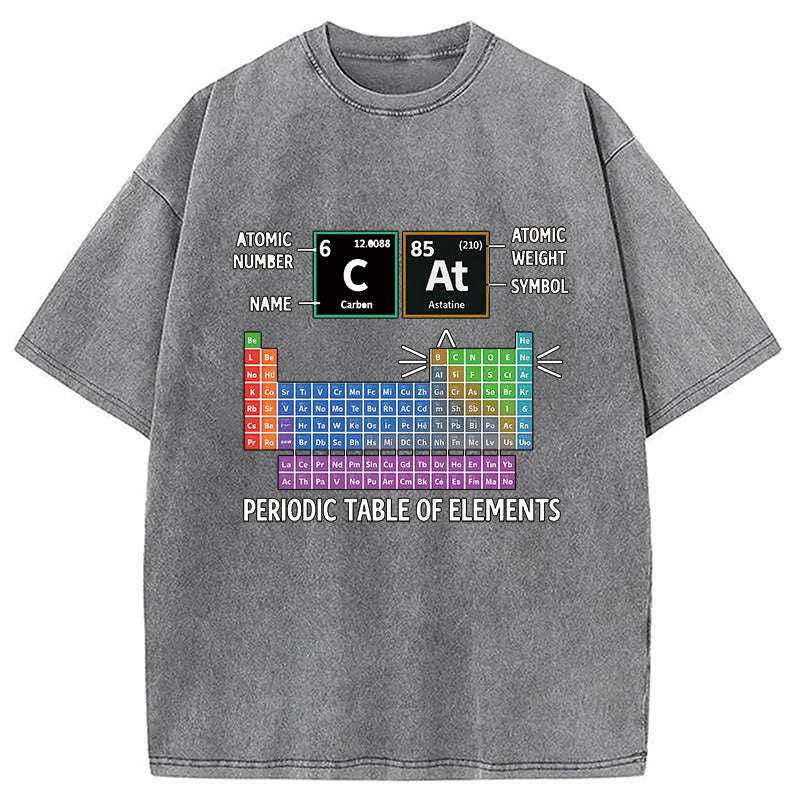 bbb Cat Periodic Table Chemistry Washed T-Shirt