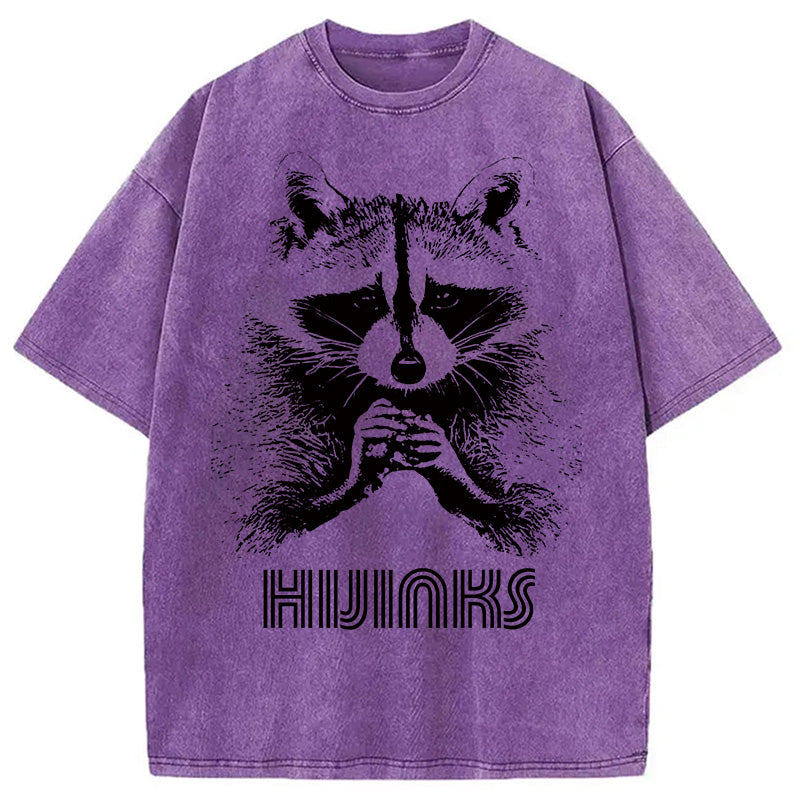 bbb Raccoon Hijinks Washed T-Shirt
