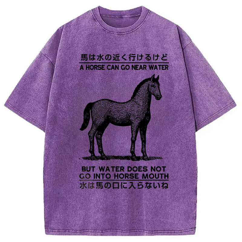 bbb Funny Horse And Water Saying Washed T-Shirt