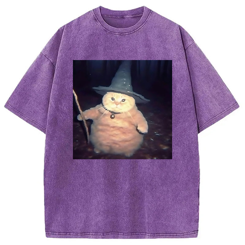 bbb Wizard Cat Funny Halloween Washed T-Shirt
