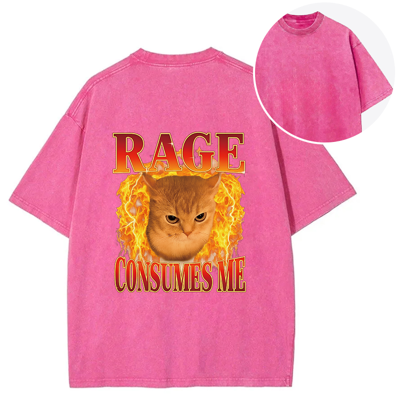bbb Rage Consumes Me Edgy Funny Cat Meme Back Washed T-Shirt