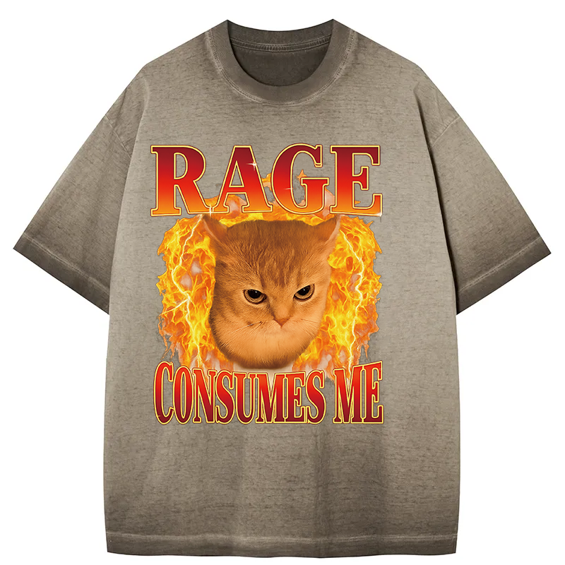 bbb Rage Consumes Me Edgy Funny Cat Meme Gradient Washed T-Shirt