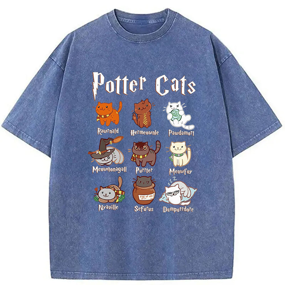 bbb Wizard Cats Washed T-Shirt