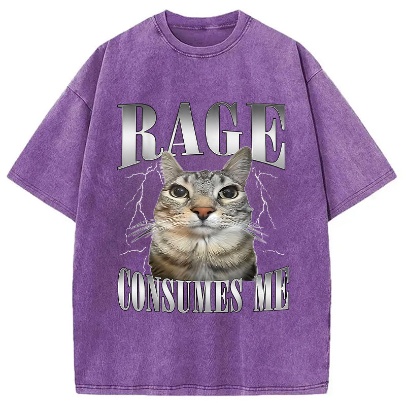 bbb Rage Consumes Me Funny Cat Washed T-Shirt