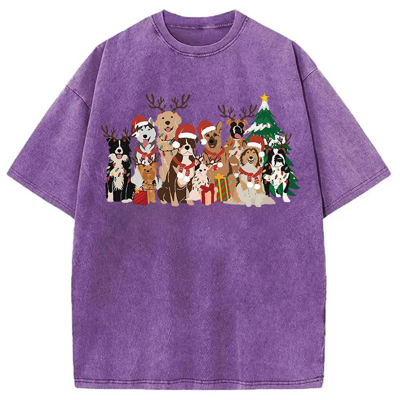 bbb Christmas Dogs Washed T-Shirt