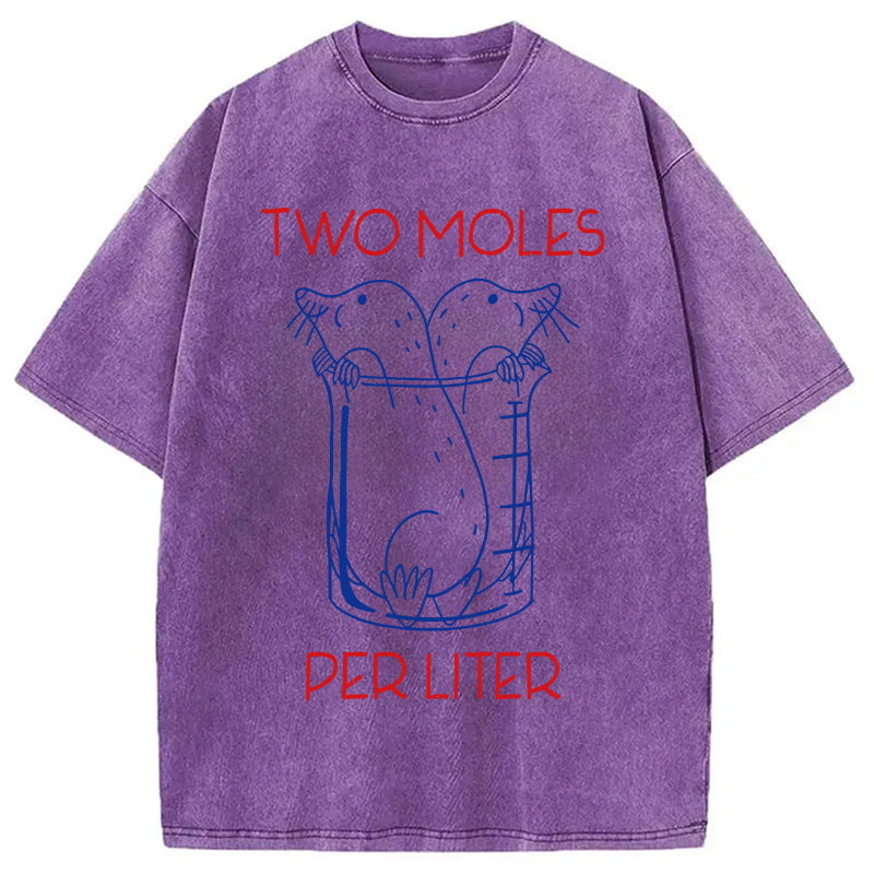 bbb Two Moles Per Liter Washed T-Shirt