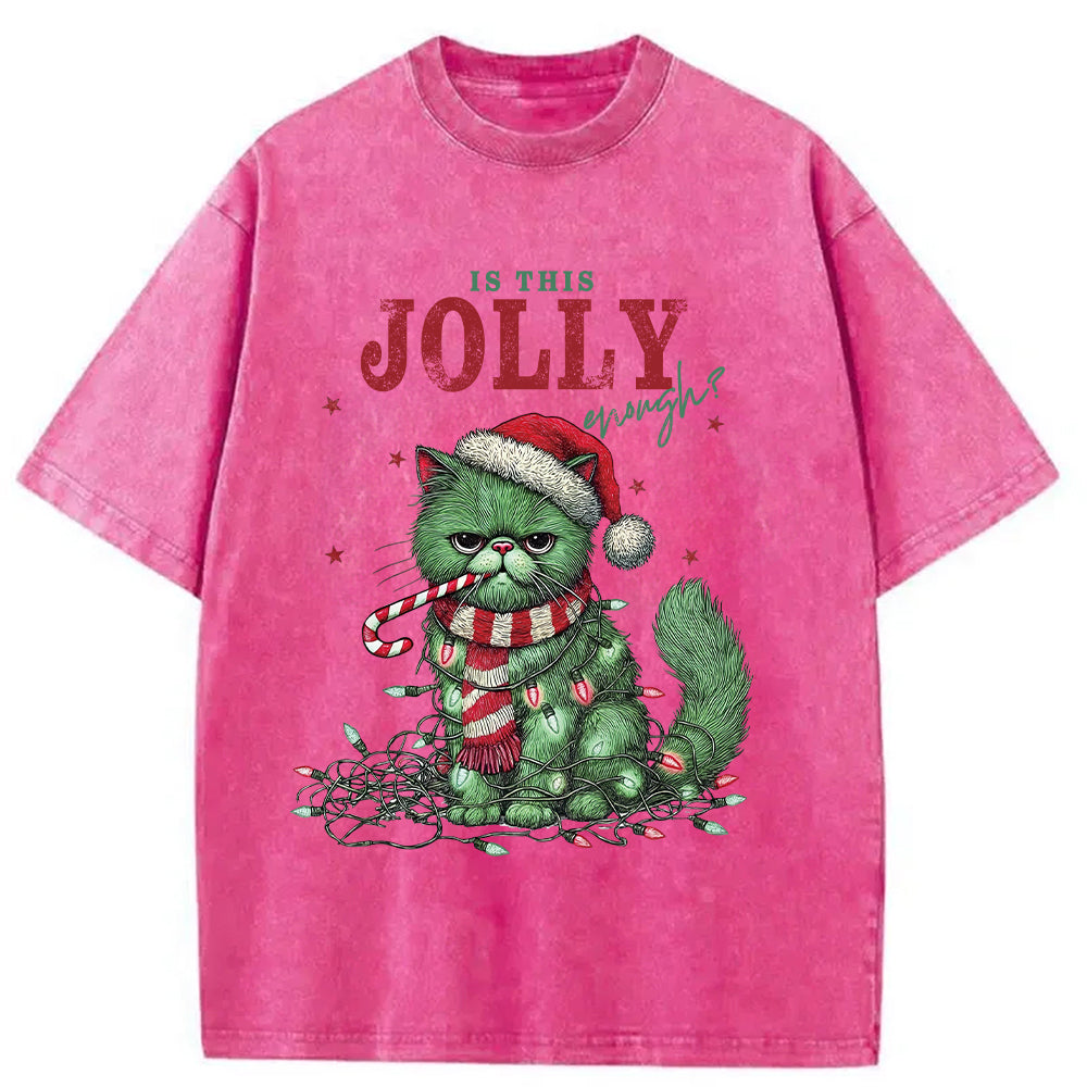bbb Christmas Gift Washed T-Shirt