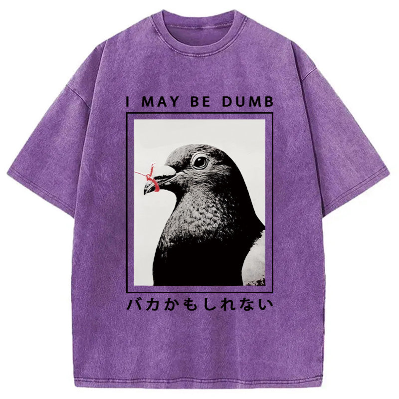 bbb I May Be Dumb Funny Washed T-Shirt