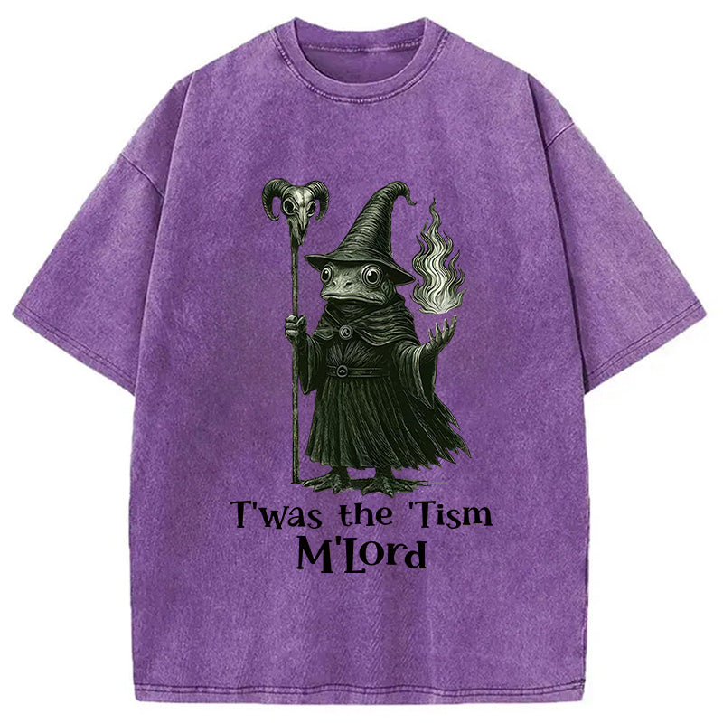 bbb Witch Frog Washed T-Shirt