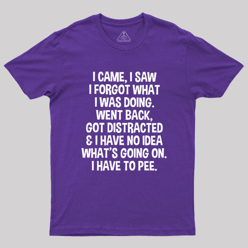 I Came I Saw I Forgot What I Was Doing  T-Shirt