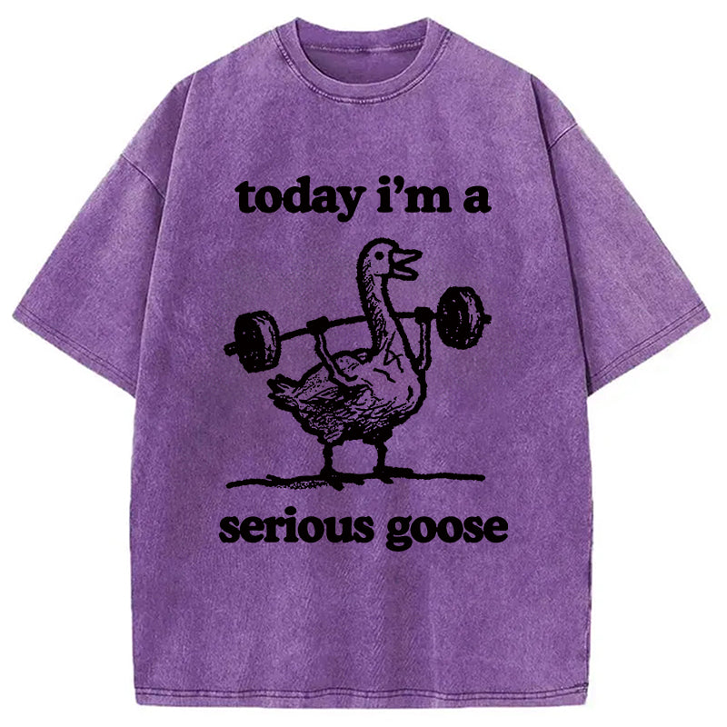 bbb Fitness Goose Washed T-Shirt