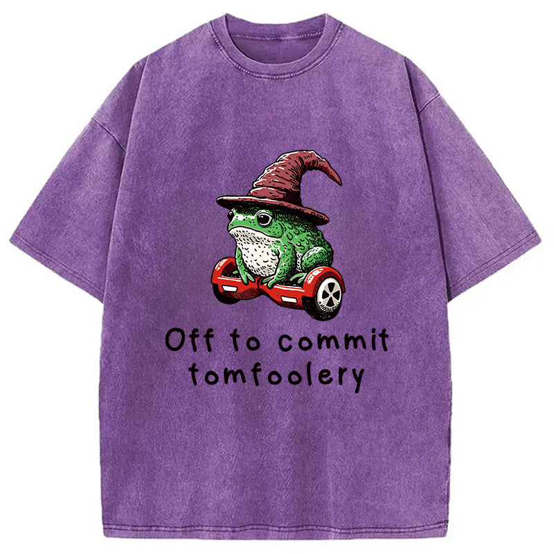 bbb Japanese Frog Riding A Balance Scooter Washed T-Shirt