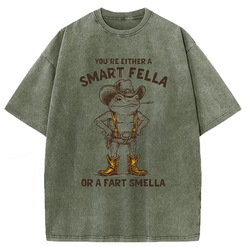 bbb Smart Fella Or Fart Smella Retro Cartoon Frog Washed T-shirt