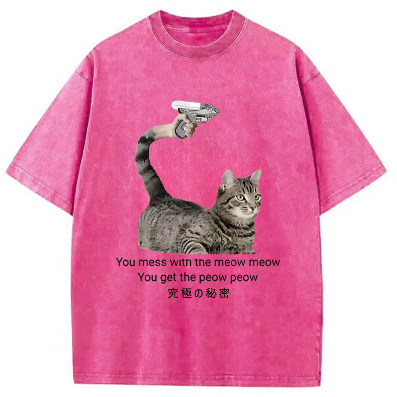 bbb Cat's Secret Weapon Washed T-Shirt