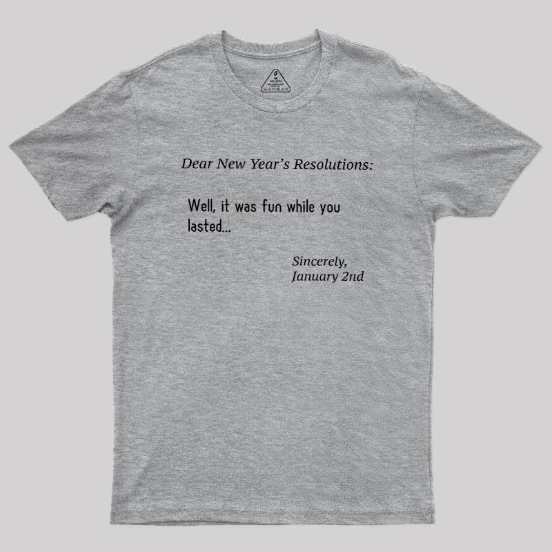 Dear New Year Resolutions  T-Shirt