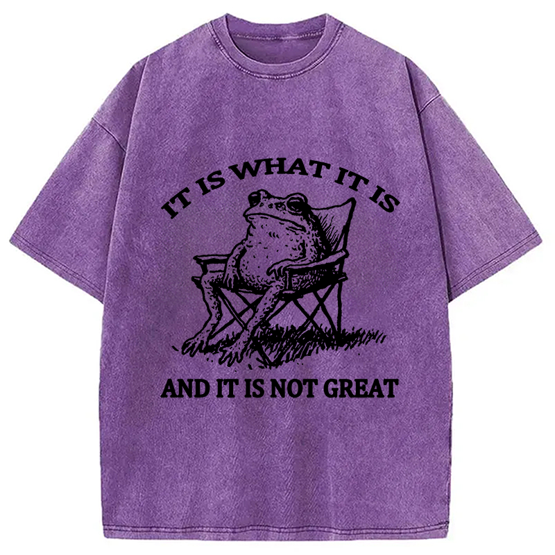bbb Resting Frog Funny Washed T-Shirt