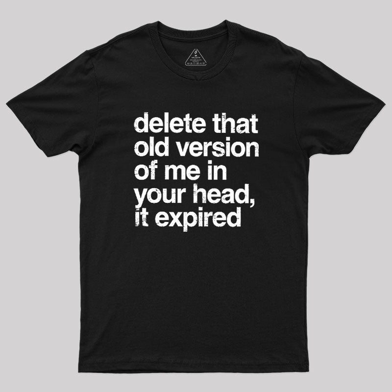 Delete That Old Version  T-Shirt