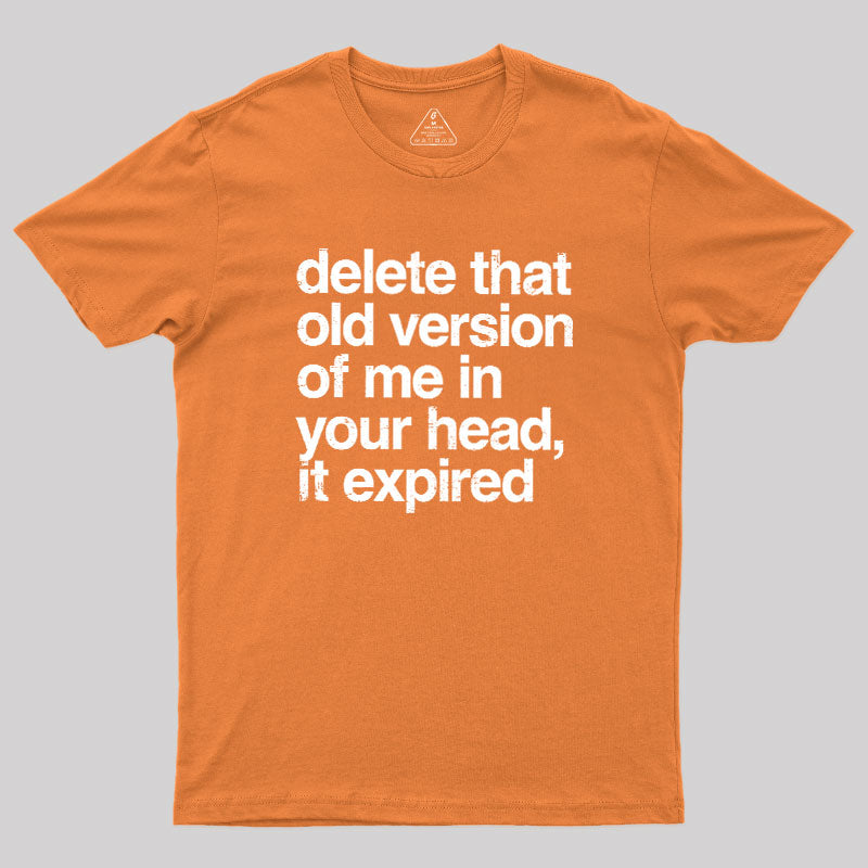 Delete That Old Version  T-Shirt