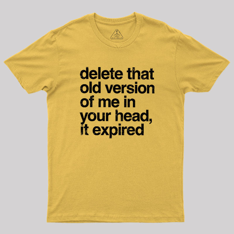 Delete That Old Version  T-Shirt