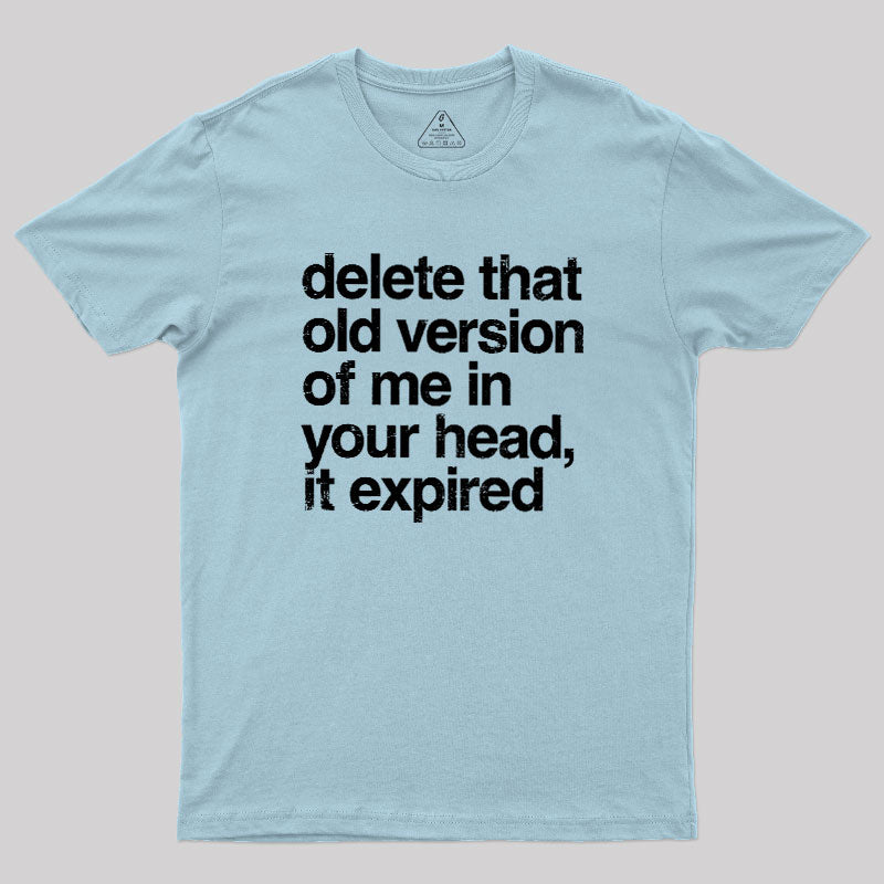 Delete That Old Version  T-Shirt