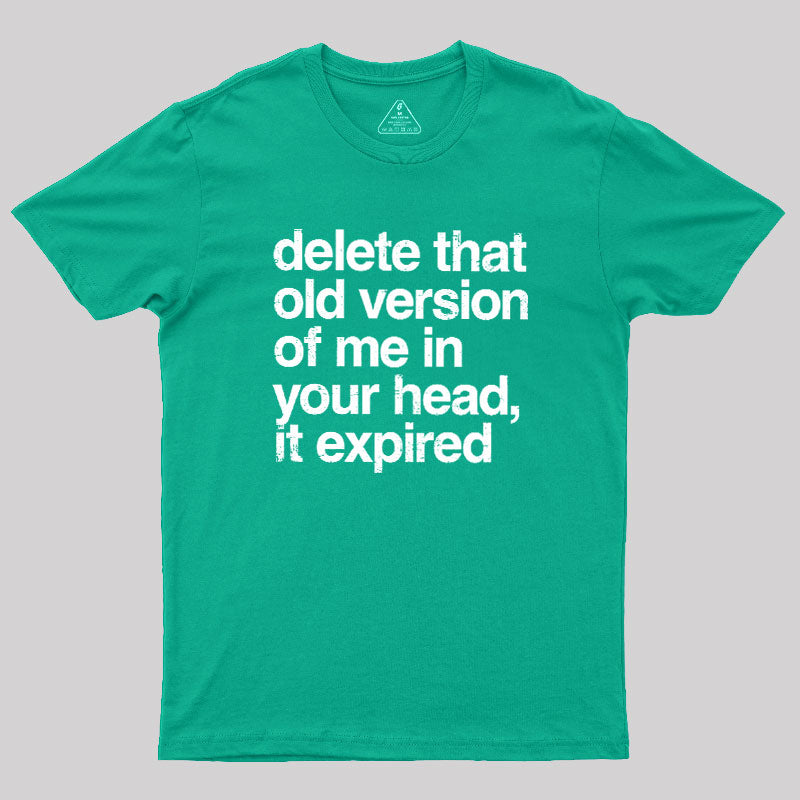 Delete That Old Version  T-Shirt