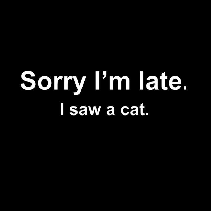 Sorry I'm Late I Saw a Cat  T-Shirt