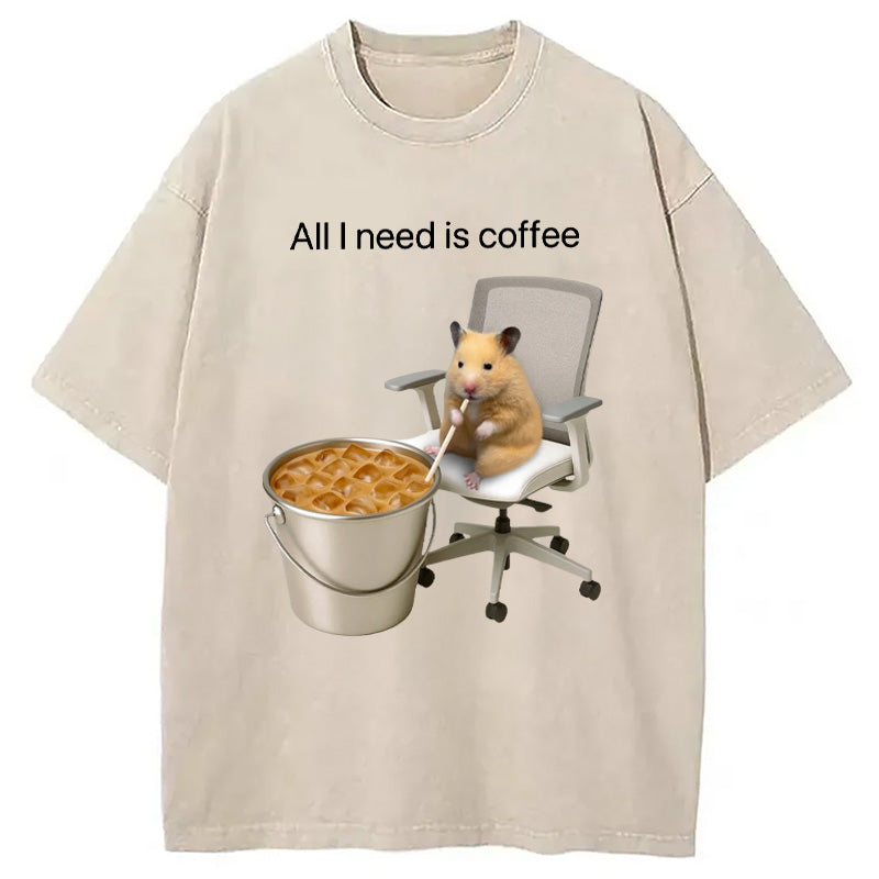 bbb All I Need Is Coffee Meme Washed T-Shirt